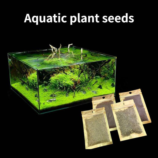 🌿 Aquarium Foreground Quick-Seed Mini Leaf Grass – 10g
