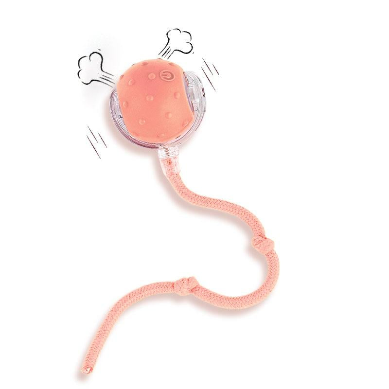 ✨ Interactive USB Rechargeable Ball Toy for Cats & Dogs – Anti-Boredom, Rug-Safe Fun Gift