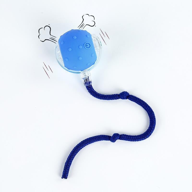 ✨ Interactive USB Rechargeable Ball Toy for Cats & Dogs – Anti-Boredom, Rug-Safe Fun Gift