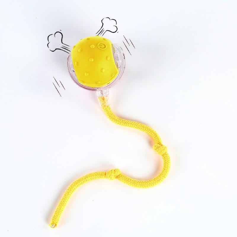 ✨ Interactive USB Rechargeable Ball Toy for Cats & Dogs – Anti-Boredom, Rug-Safe Fun Gift