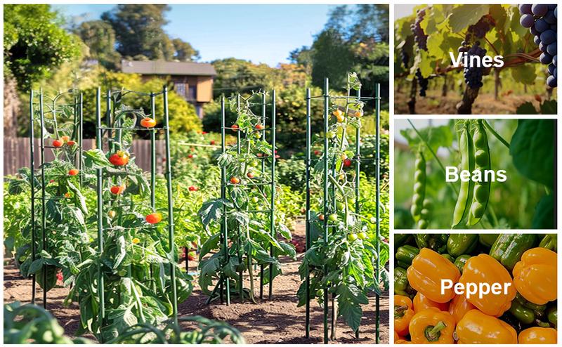 🌿 Tomato Cages for Garden, 51" Heavy-Duty Plant Support Trellis with Twist Tie for Vegetables, Flowers & Fruits