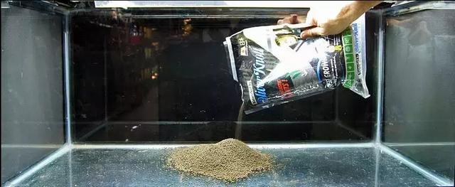 🌿 Aquarium Foreground Quick-Seed Mini Leaf Grass – 10g