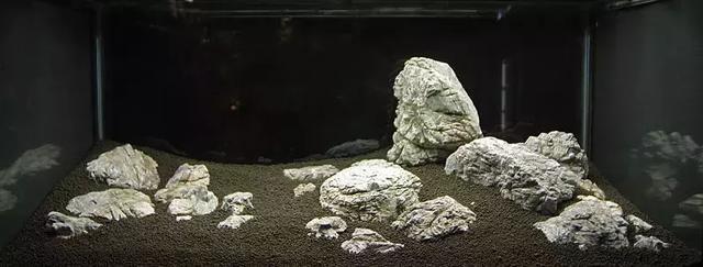 🌿 Aquarium Foreground Quick-Seed Mini Leaf Grass – 10g