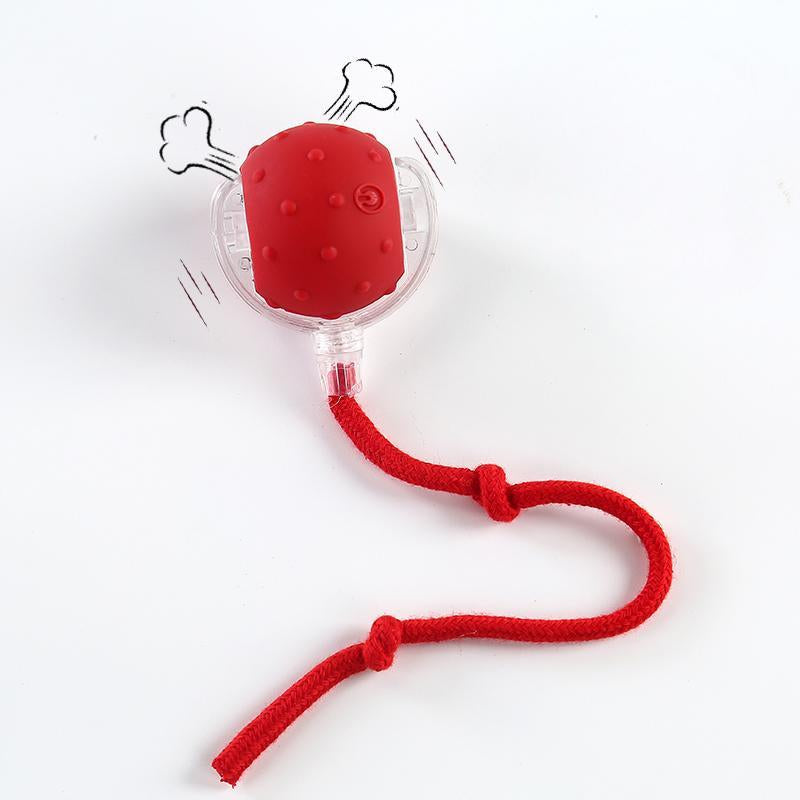 ✨ Interactive USB Rechargeable Ball Toy for Cats & Dogs – Anti-Boredom, Rug-Safe Fun Gift