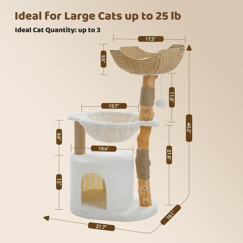 🐱 PAWZ Road 38-Inch Modern Luxury Wood Cat Tree with Large Wicker Basket & Deep Hammock
