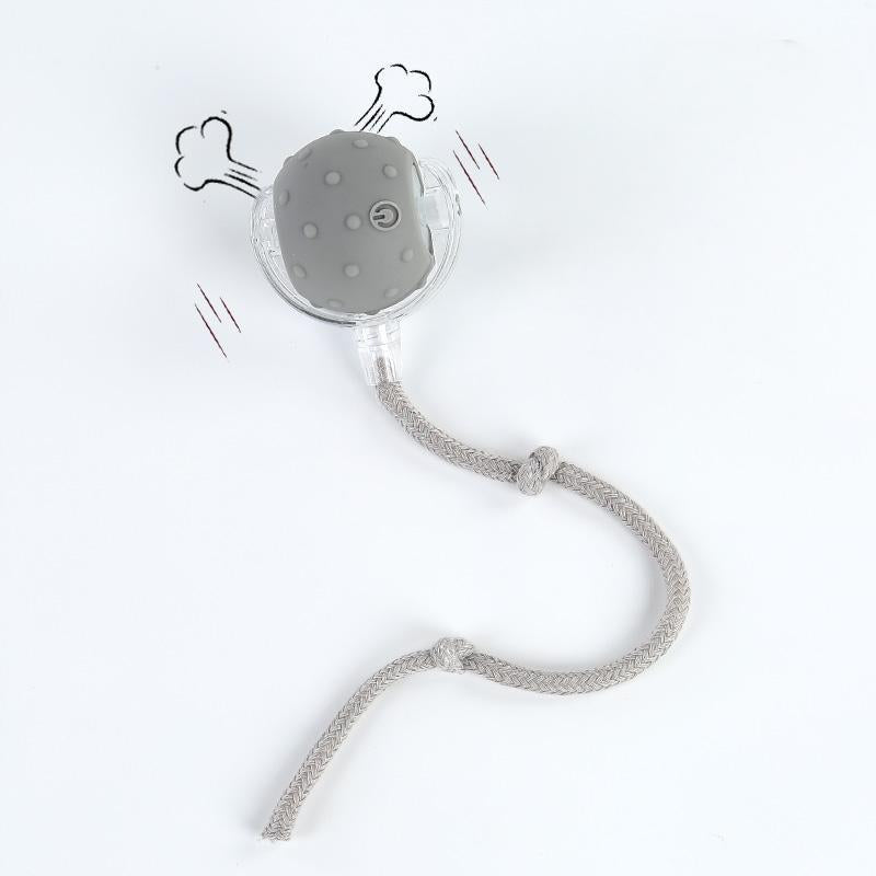 ✨ Interactive USB Rechargeable Ball Toy for Cats & Dogs – Anti-Boredom, Rug-Safe Fun Gift