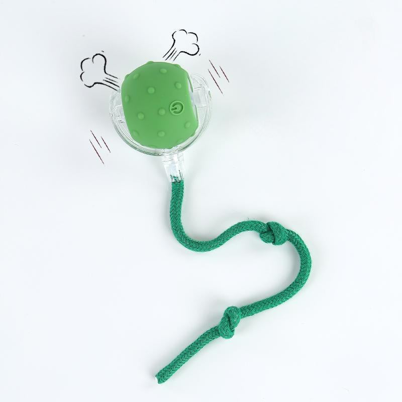 ✨ Interactive USB Rechargeable Ball Toy for Cats & Dogs – Anti-Boredom, Rug-Safe Fun Gift